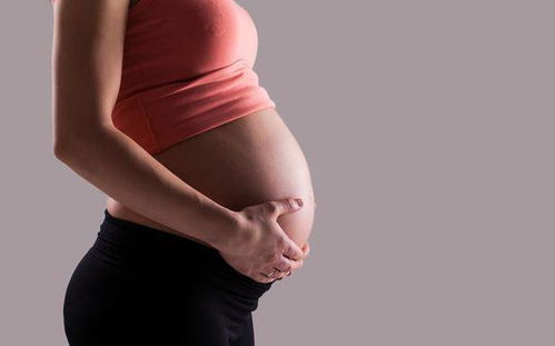 雪莲治不孕症 雪莲花可以治疗妇科吗  雪莲治不孕症 雪莲花可以治疗妇科吗