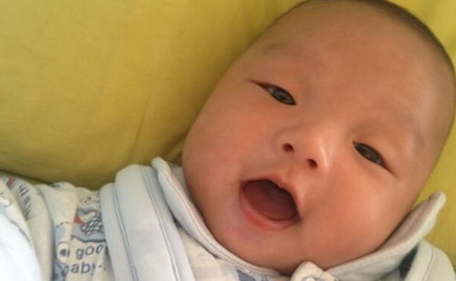 羊实验导致不孕 羊不孕的原因 羊实验导致不孕 羊不孕的原因