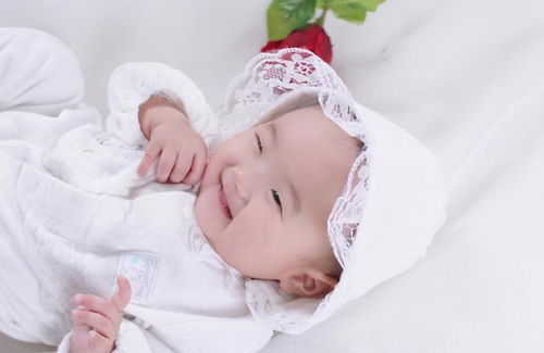 t�ǲ�ѯ���� �鲻�в���������