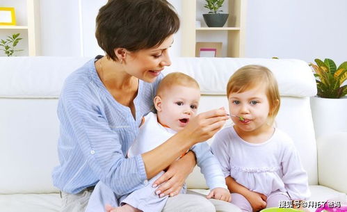 ���˲������������������֢