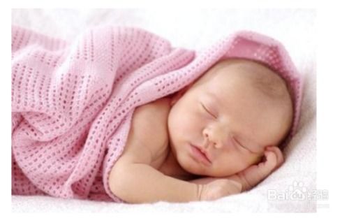 科学研究发现 垃圾食品可致男性不育 科学研究发现 垃圾食品可致男性不育