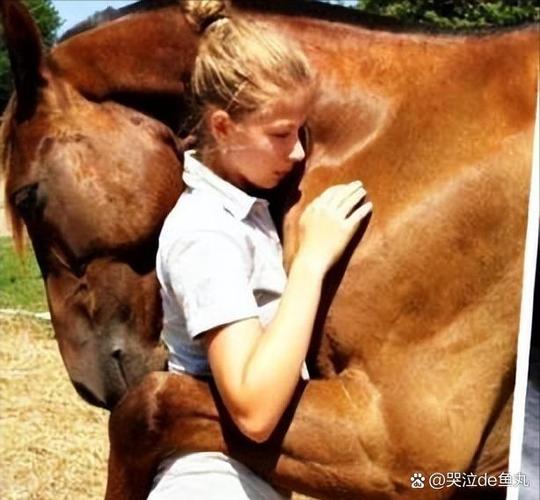 中医女性不孕辩证_中医女性不孕辩证分析 中医女性不孕辩证_中医女性不孕辩证分析