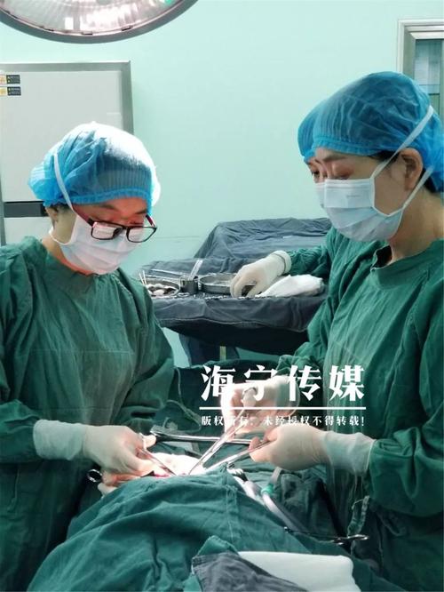 北京专治不孕不育的医院哪家好 子宫畸形有哪些危害 北京专治不孕不育的医院哪家好 子宫畸形有哪些危害