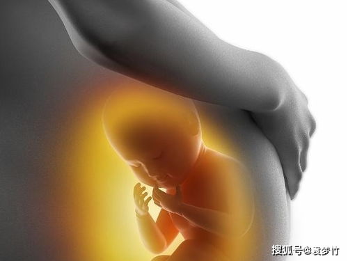 阿迪达斯三叶草系列 阿迪达斯三叶草系列