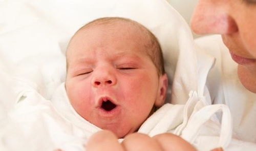 �����в�����ҽ�ĵ�