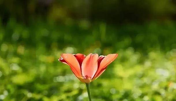 惠州查不孕哪里好(惠州看不孕不育哪个医生好) 惠州查不孕哪里好(惠州看不孕不育哪个医生好)