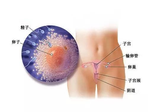 男性不孕不育预防的八大妙招 北京治疗不孕不育医院哪家更好 男性不孕不育预防的八大妙招 北京治疗不孕不育医院哪家更好
