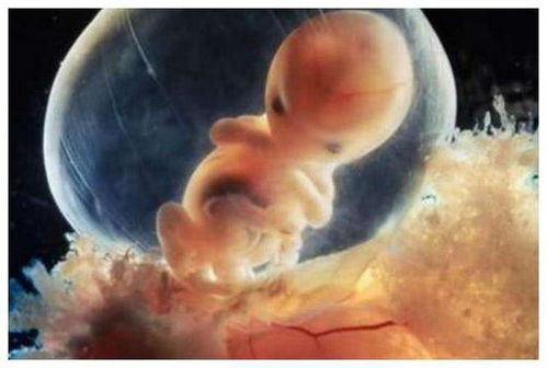 介绍不孕不育的中医疗法 介绍不孕不育的中医疗法