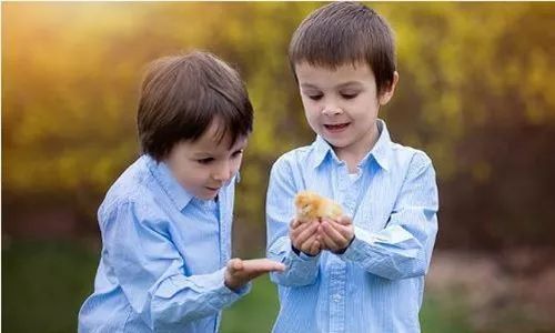 女性不孕症什么意思 女性不孕症最常见的病因 女性不孕症什么意思 女性不孕症最常见的病因