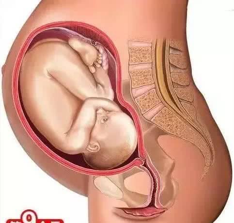 不孕黄体和孕酮低 不孕黄体和孕酮低的区别 不孕黄体和孕酮低 不孕黄体和孕酮低的区别