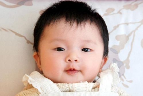 ӦζԴ  ѧҼ鼰緢ֲ