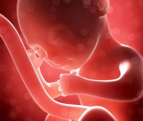 不孕不育概述 原因影响及解决方案2025年 不孕不育概述 原因影响及解决方案2025年