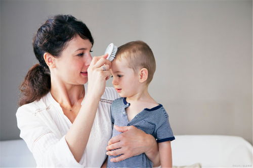 大连枫叶国际学校高中部 大连枫叶国际学校高中部