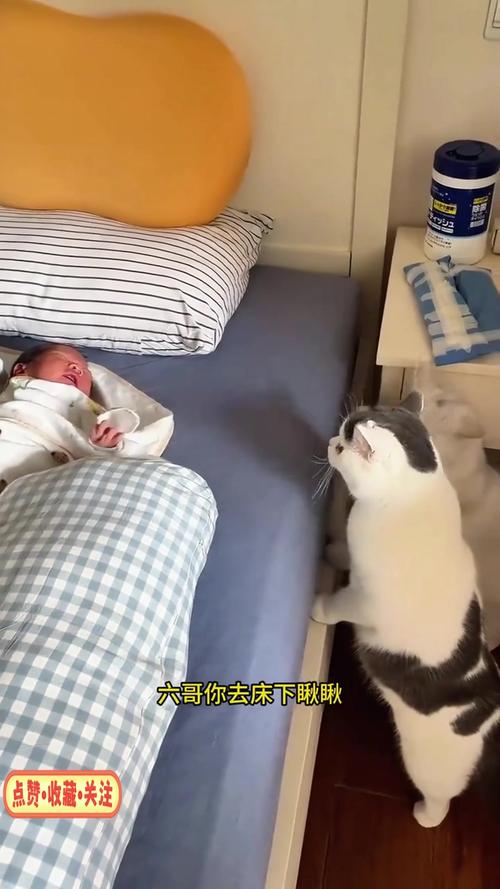 性欲亢进或是男性不育的前兆 性欲亢进或是男性不育的前兆