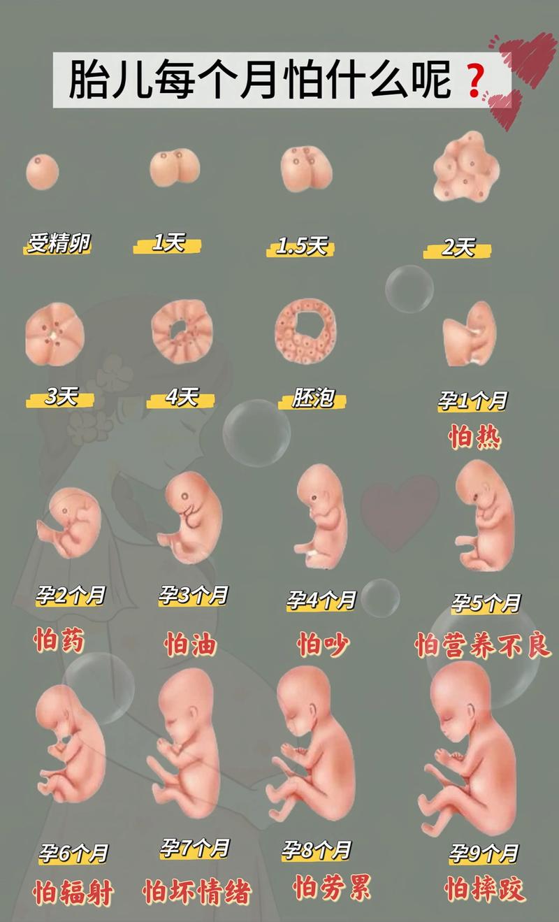 不孕不育如何做检查 不孕不育如何做检查