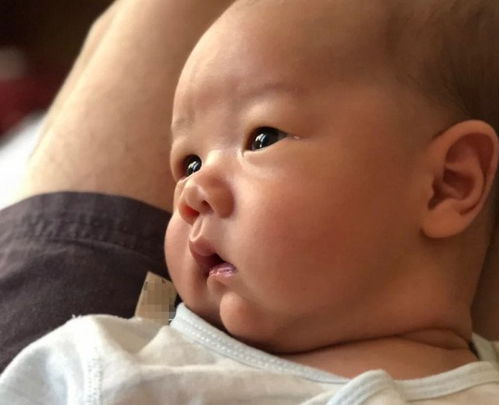 盆腔炎久拖不治会不孕吗 预防的关键在哪里 盆腔炎久拖不治会不孕吗 预防的关键在哪里