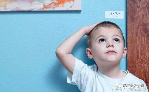 生殖科不孕科(生殖医学不孕不育科) 生殖科不孕科(生殖医学不孕不育科)