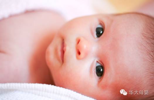 盘点 女性不孕的疾病因素 盘点 女性不孕的疾病因素