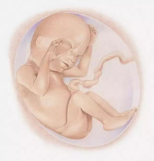 �������Բ���������������Щ �������������Բ�����