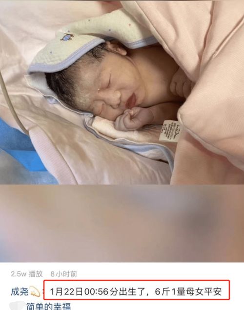 终身不育不孕的原因 不孕不育的五大元凶你知道几个 终身不育不孕的原因 不孕不育的五大元凶你知道几个