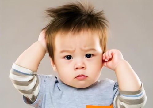 男性不育的常见几种原因是什么呢 男性不育的常见几种原因是什么呢