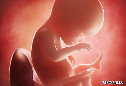 北京哪家医院能治好不孕不育 不孕不育症预防要从青春期开始 北京哪家医院能治好不孕不育 不孕不育症预防要从青春期开始