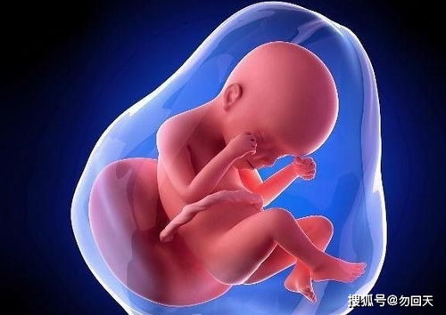 性病可能导致不孕不育 来宾治疗性病到哪里好 性病可能导致不孕不育 来宾治疗性病到哪里好