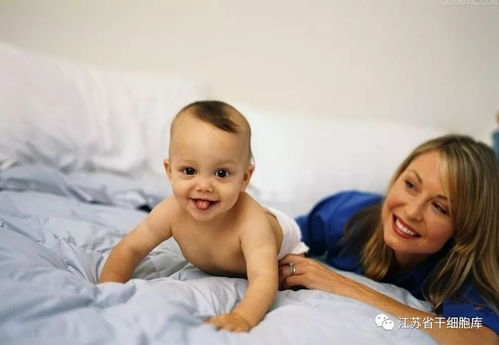 欢乐颂男演员全部名字 欢乐颂男演员全部名字