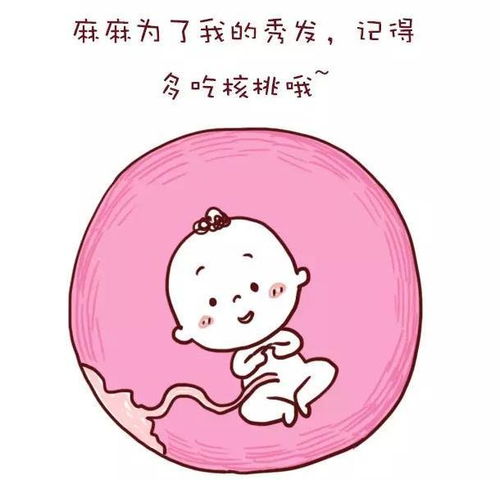 ��������������Ʋ��в��� Ԥ�����в����ļ�����Ҫ����