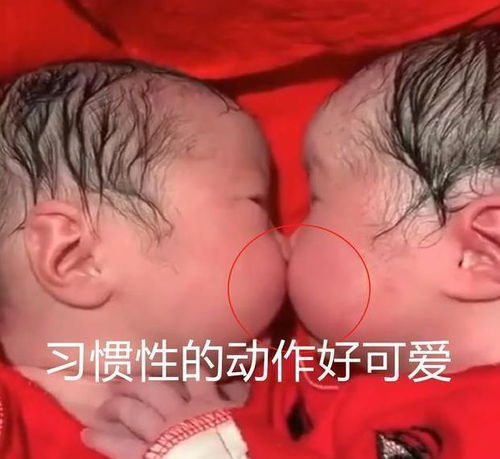 输卵管堵塞会导致不孕不育 沧州哪家治输卵管堵塞的医院好 输卵管堵塞会导致不孕不育 沧州哪家治输卵管堵塞的医院好