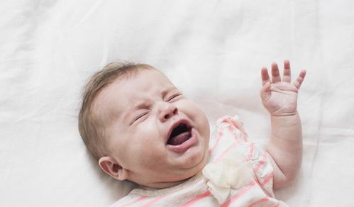 ���в������������������Ŀ��ʲô