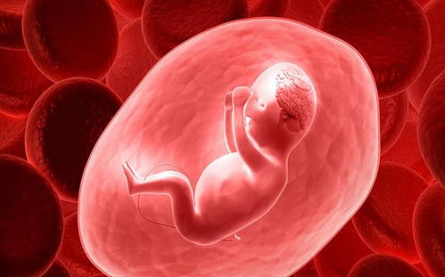 �������Բ���������