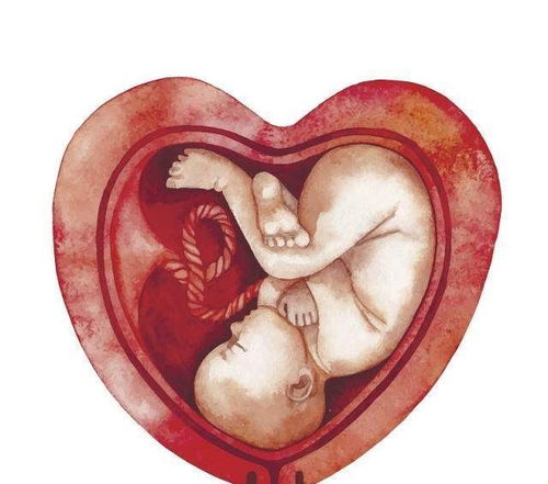 ���Ʋ��в���������