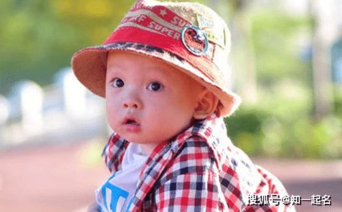 �ֶ��侫���������Բ���