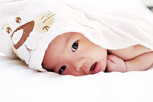 �����ӹ������ᵼ�²��в�����