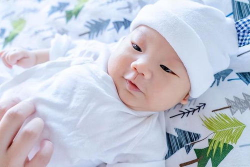 鬼太郎粤语 鬼太郎粤语在线第一季 鬼太郎粤语 鬼太郎粤语在线第一季