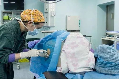 �⼸��Ů�����ײ��� ���ֲ������Ʒ���