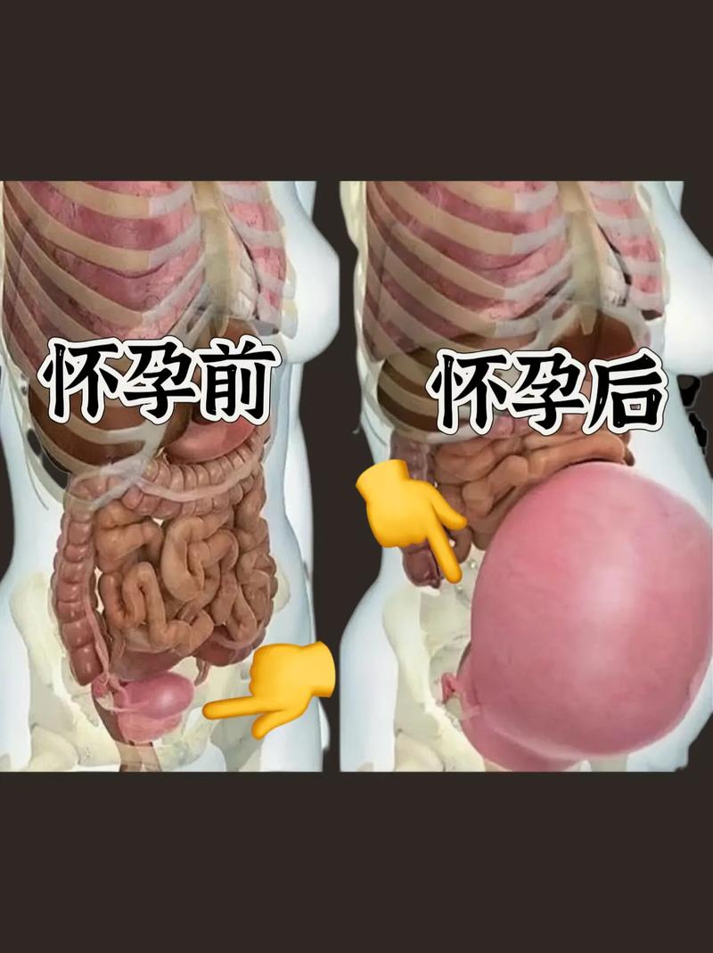 �����Բ��в�����ɶ ���������Ч��