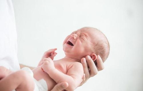 ����Ů���β���8�������� һ�������İ�̥