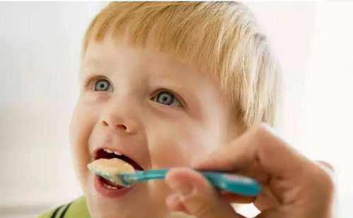 ���Բ������Գ�ʲô������