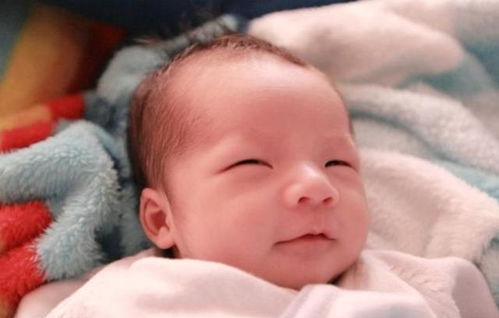 ���Բ��������Ⱦ��