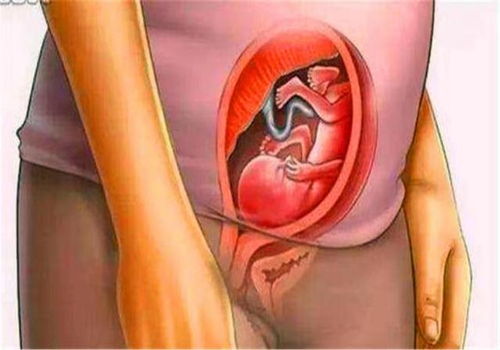 ���Բ�����龫Һ �����鲻����