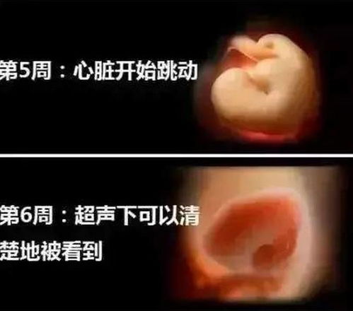 郑州治疗输卵管堵塞哪比较好 输卵管堵塞会导致女性的不孕 郑州治疗输卵管堵塞哪比较好 输卵管堵塞会导致女性的不孕