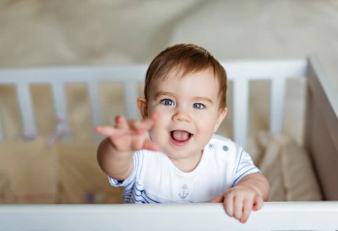 ���Խ�����ʳ��� Ԥ�������ؼ�Ҫ����