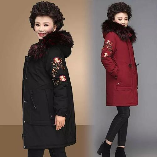 ��Щ��������Բ���֢����������