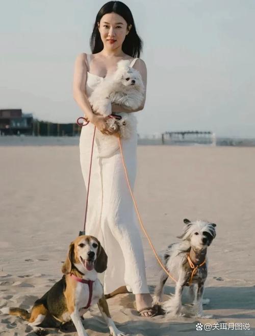 ֣�����Ʋ��в�����ҽԺ�ĸ���