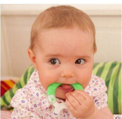 ���������Բ���