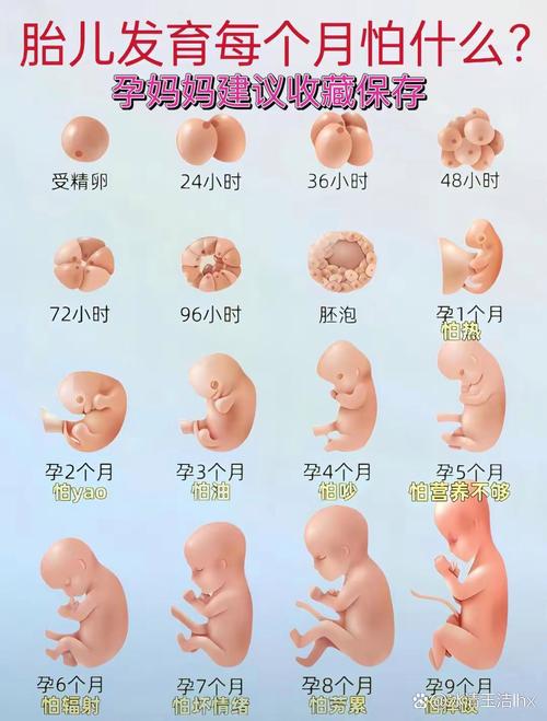 侠客传奇哈哈哈哈哈_侠客传奇哈哈哈哈哈是哪一集 侠客传奇哈哈哈哈哈_侠客传奇哈哈哈哈哈是哪一集