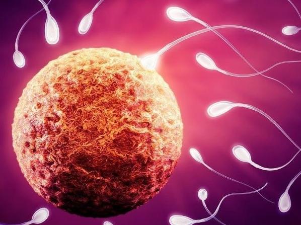 ���˲�������˲� ��Щʳ���������������